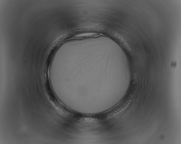 X0000096970590200803071008