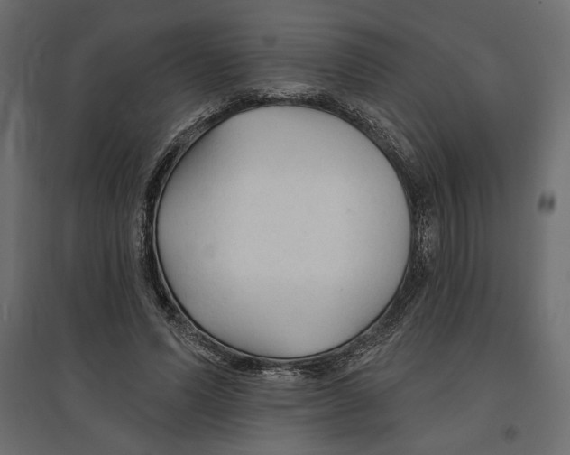 X0000096970591200803071008