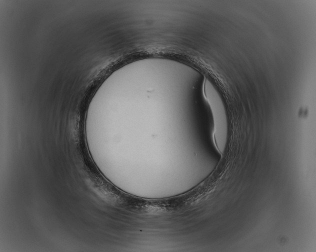 X0000096970592200803071008