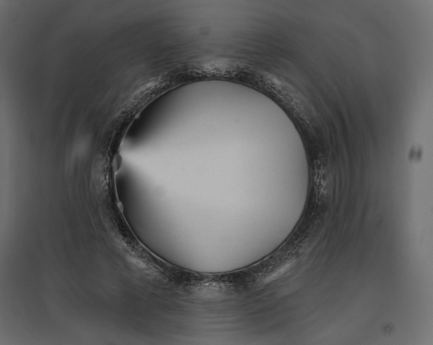X0000096970593200803071008