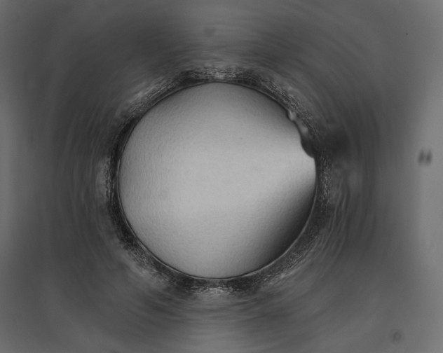 X0000096970594200803071008