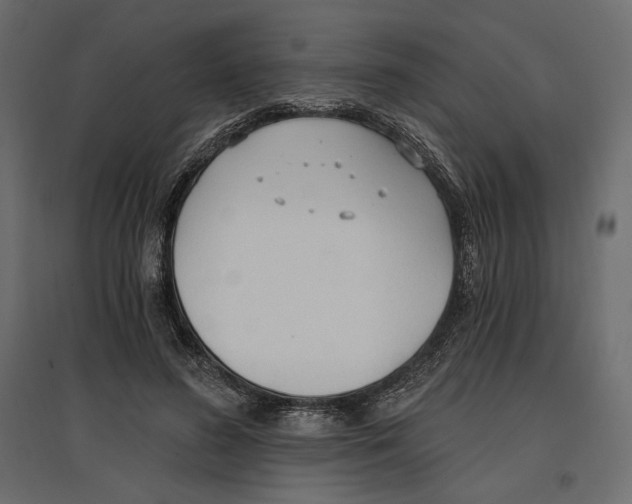 X0000096970596200803071008