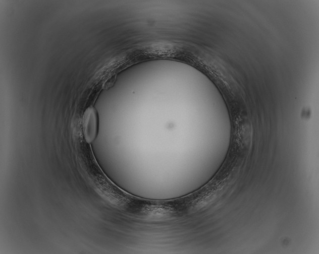 X0000096970597200803071008