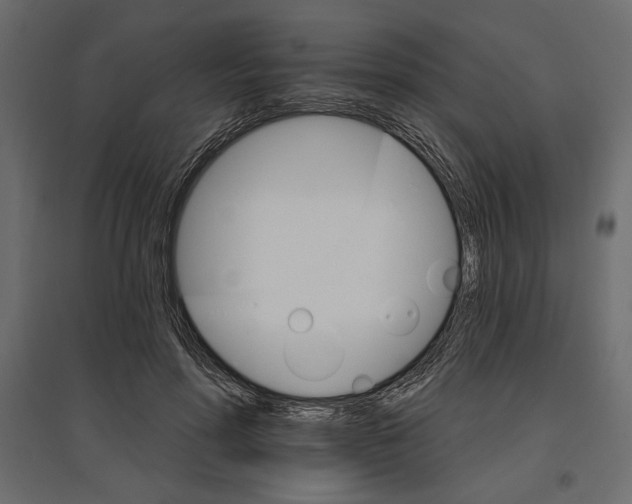 X0000096970598200803071008