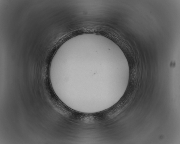 X0000096970600200803071008