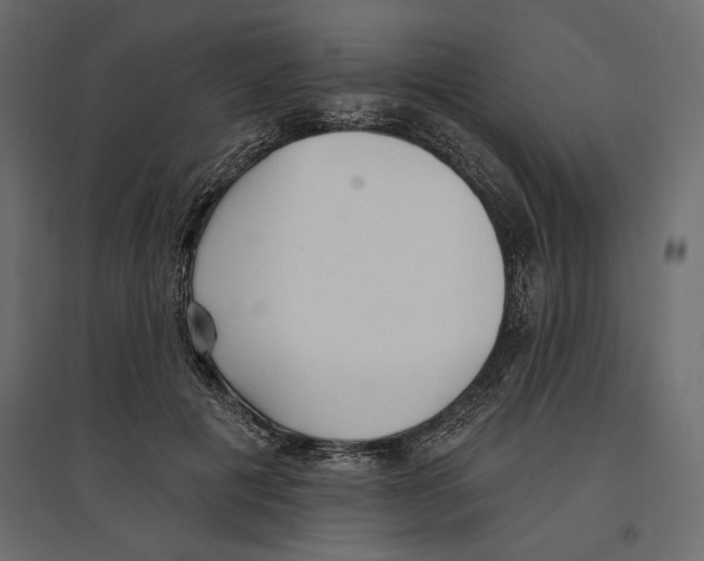 X0000096970601200803071008