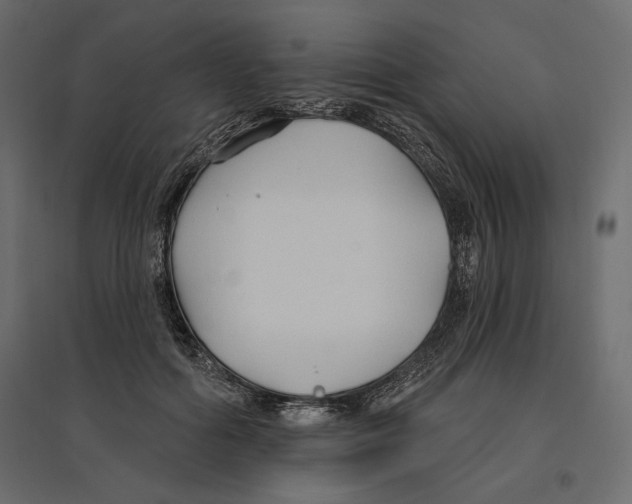 X0000096970602200803071008