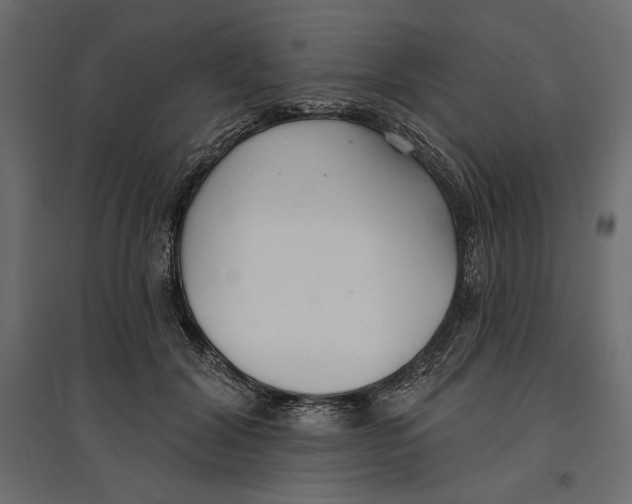 X0000096970604200803071008