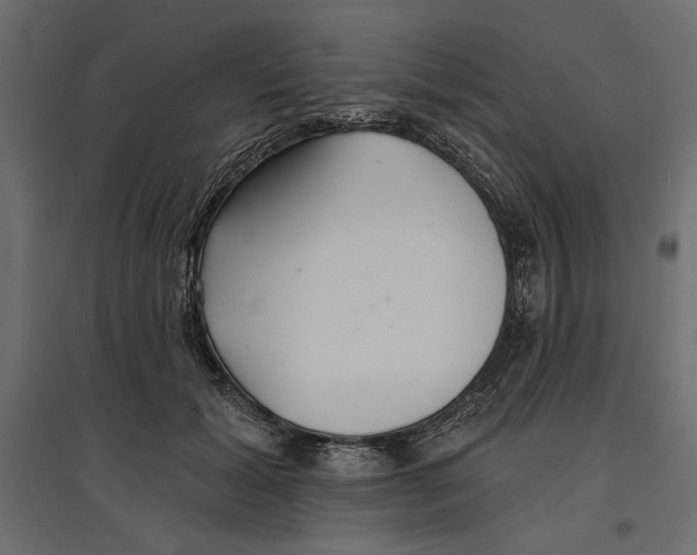 X0000096970605200803071008