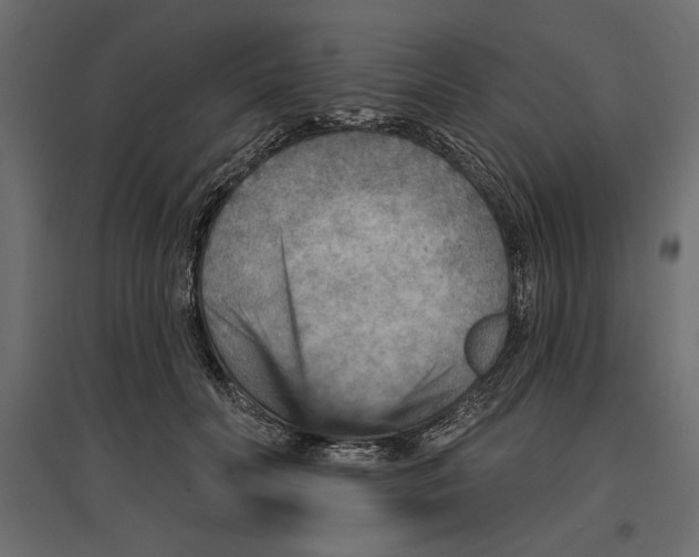 X0000096970606200803071008