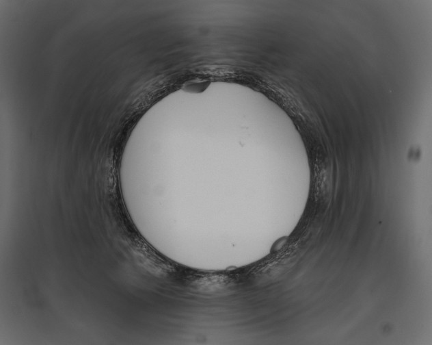X0000096970609200803071008