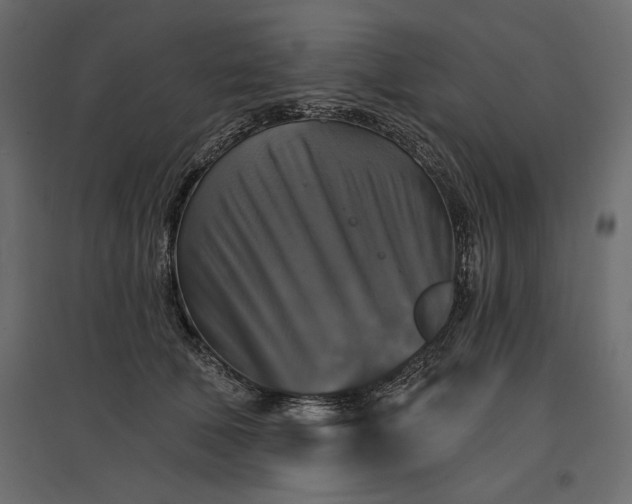 X0000096970610200803071008