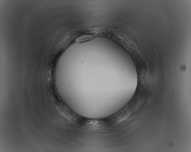 X0000096970611200803071007