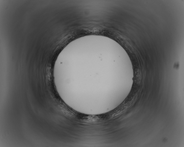 X0000096970612200803071007