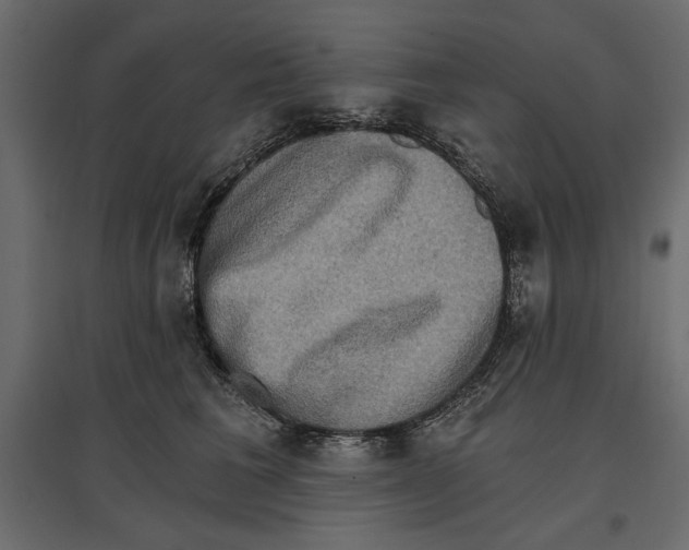 X0000096970613200803071007