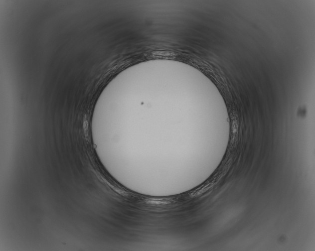 X0000096970614200803071007