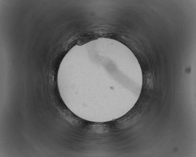 X0000096970615200803071007