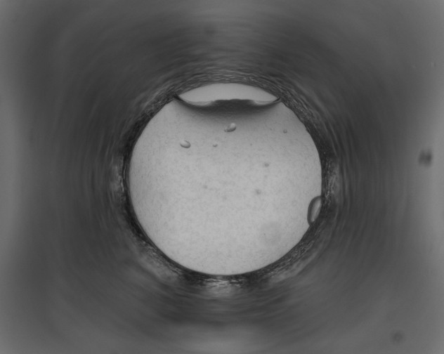 X0000096970616200803071007