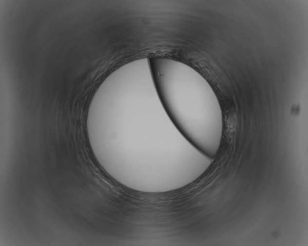 X0000096970617200803071007