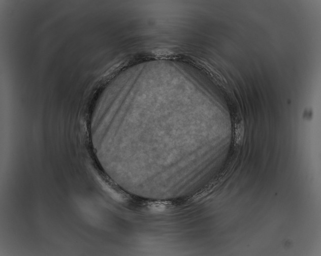 X0000096970618200803071007