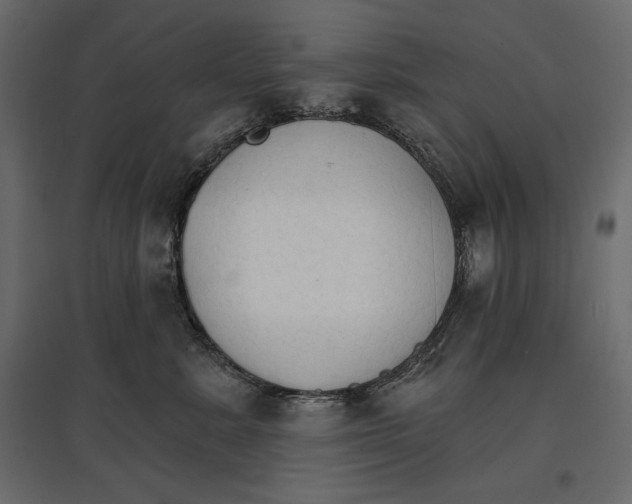 X0000096970619200803071007
