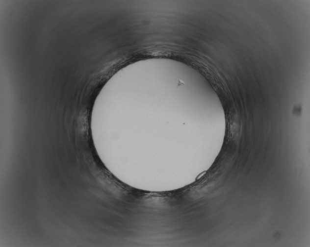 X0000096970620200803071007