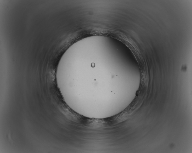 X0000096970621200803071007