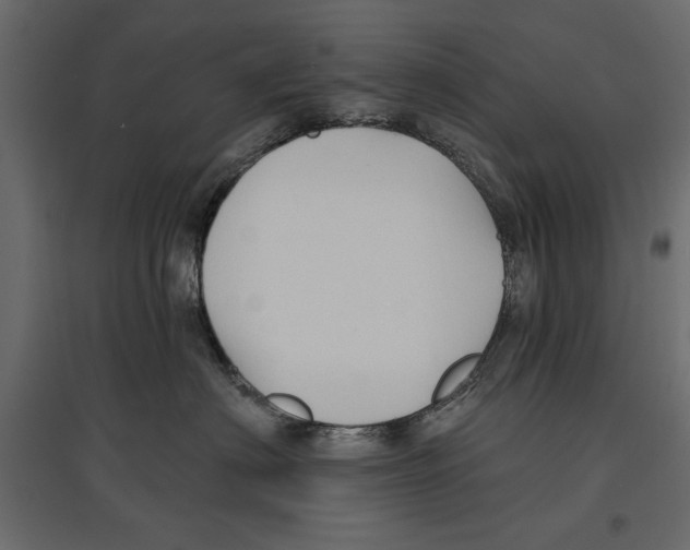 X0000096970622200803071007