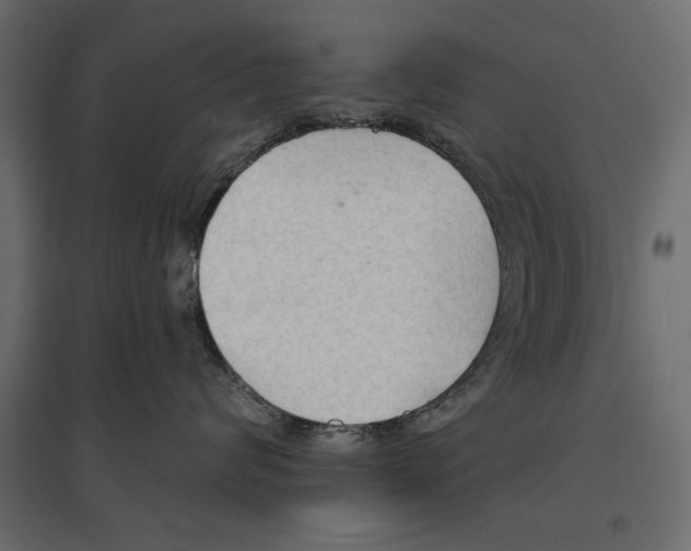 X0000096970624200803071007