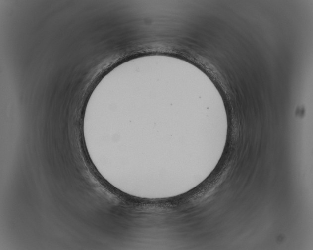 X0000096970625200803071006