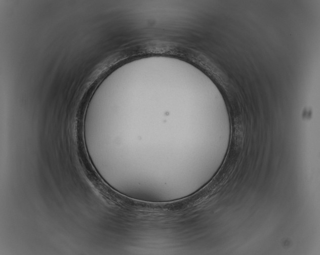X0000096970626200803071006