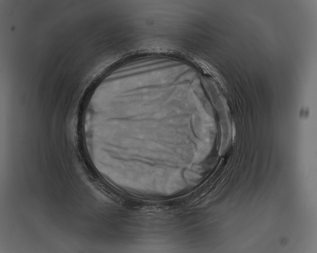 X0000096970627200803071006
