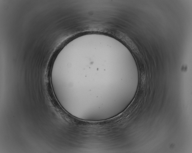 X0000096970628200803071007