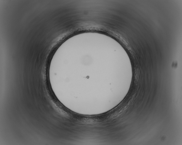 X0000096970629200803071007