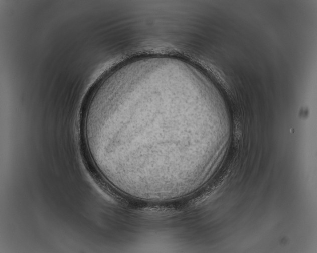X0000096970630200803071007