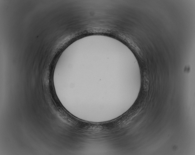 X0000096970631200803071007