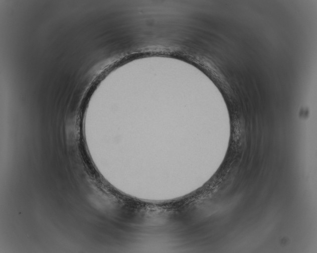 X0000096970632200803071007
