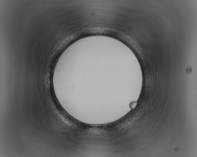 X0000096970633200803071007