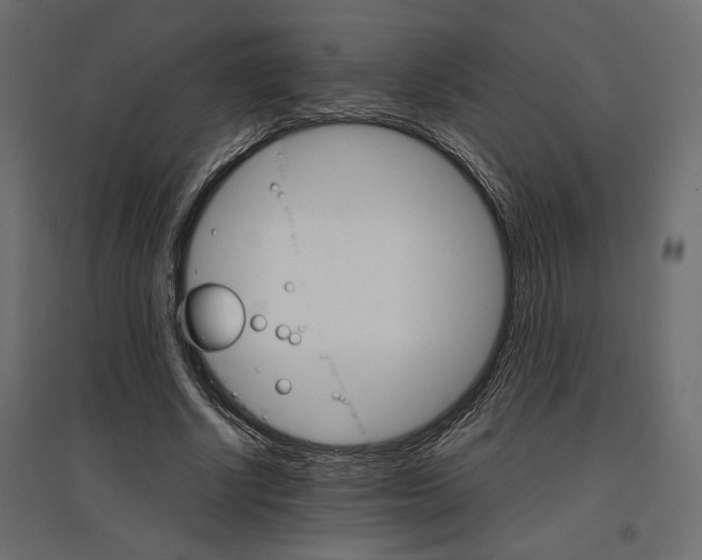 X0000096970634200803071007