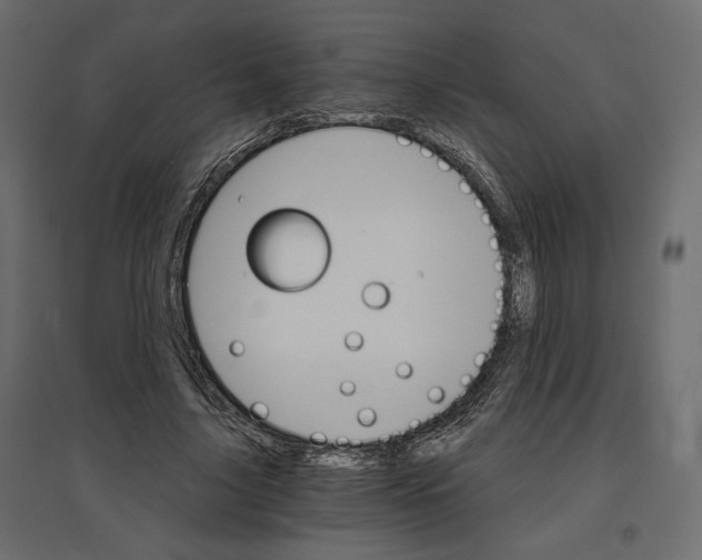 X0000096970635200803071007