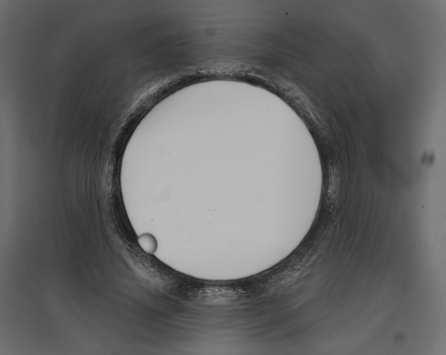 X0000096970636200803071007