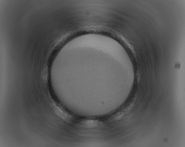 X0000096970637200803071007