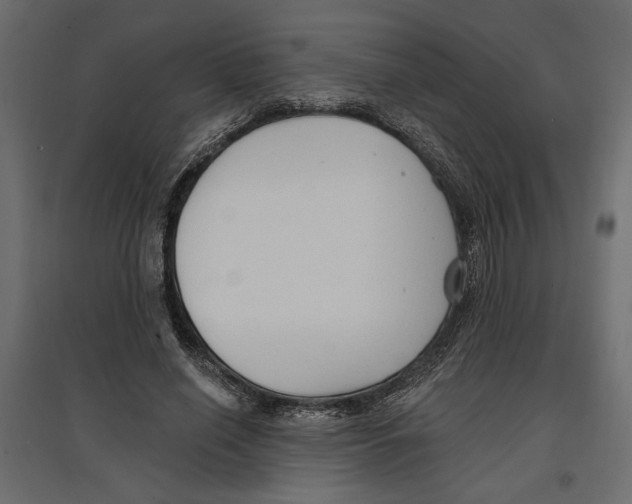 X0000096970638200803071007
