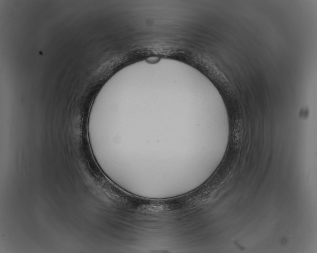 X0000096970639200803071007
