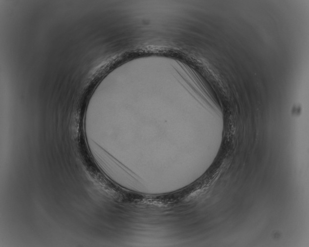 X0000096970640200803071007