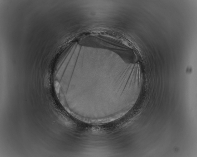 X0000096970641200803071007