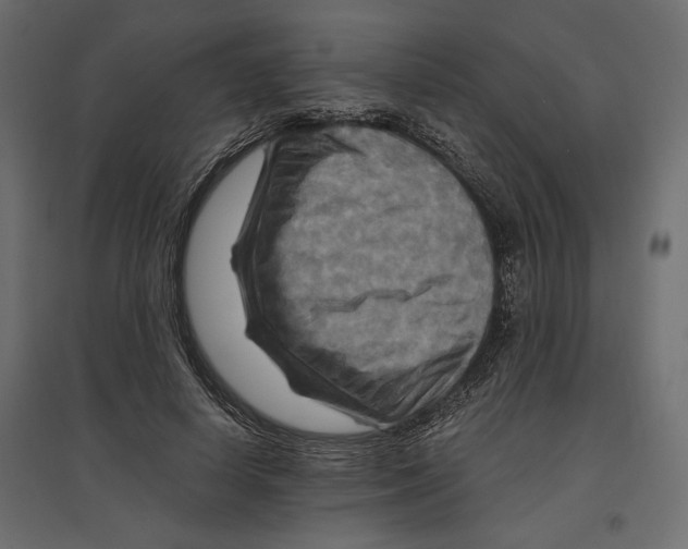 X0000096970642200803071007