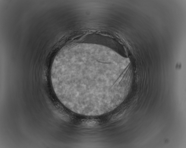 X0000096970643200803071007