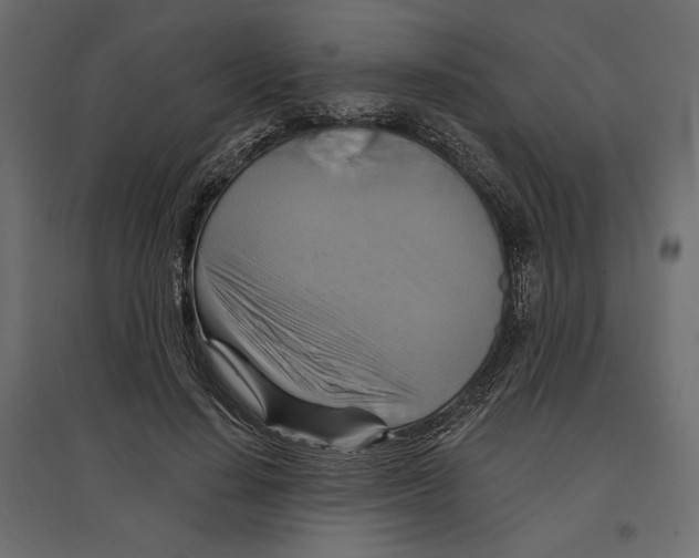 X0000096970644200803071007