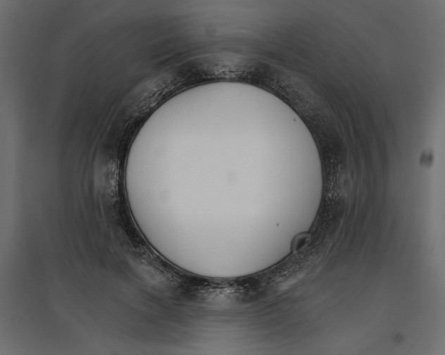 X0000096970646200803071007
